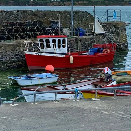 Row 4* Wexford