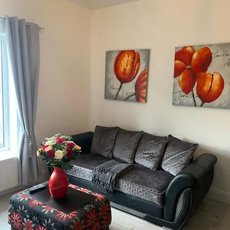 Konukevi Row Wexford